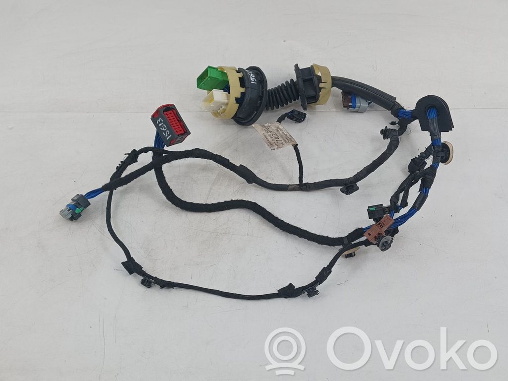 Cableado de puerta delantera   FRONTLEFT,9674237280