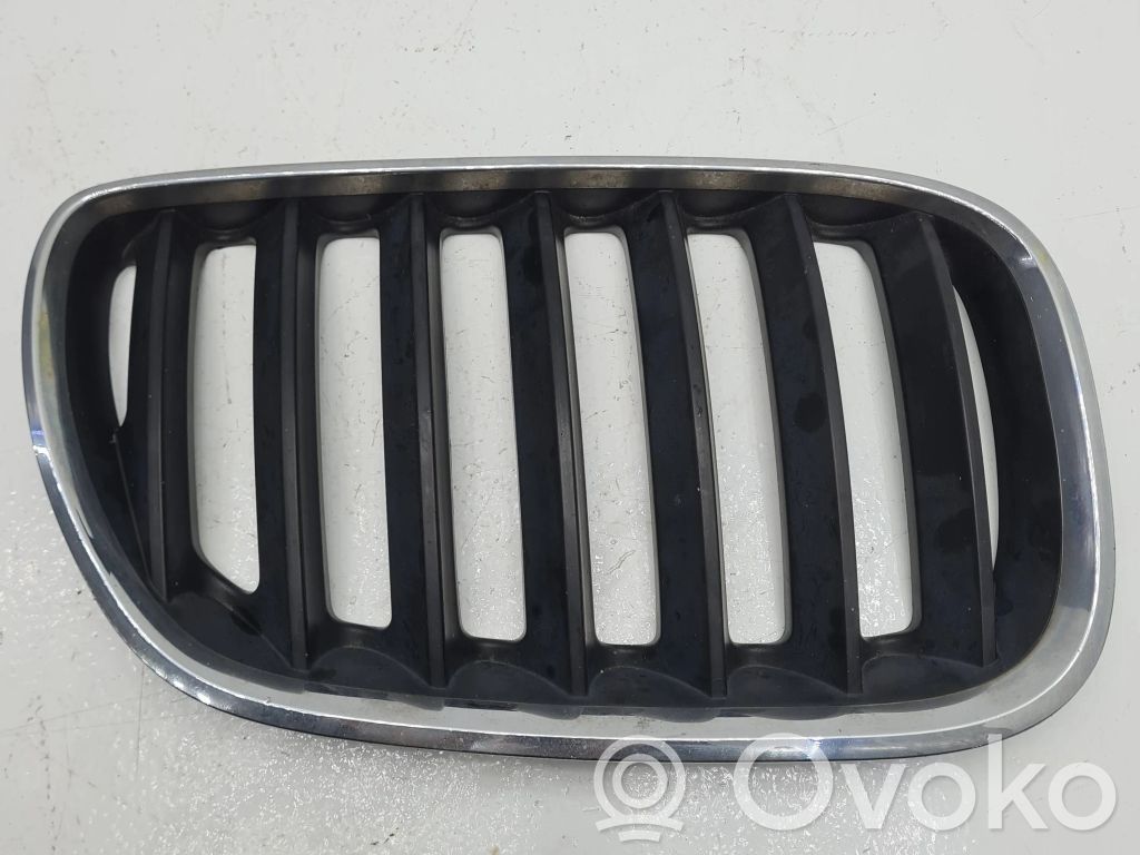 BMW X5 E53 Front grill 