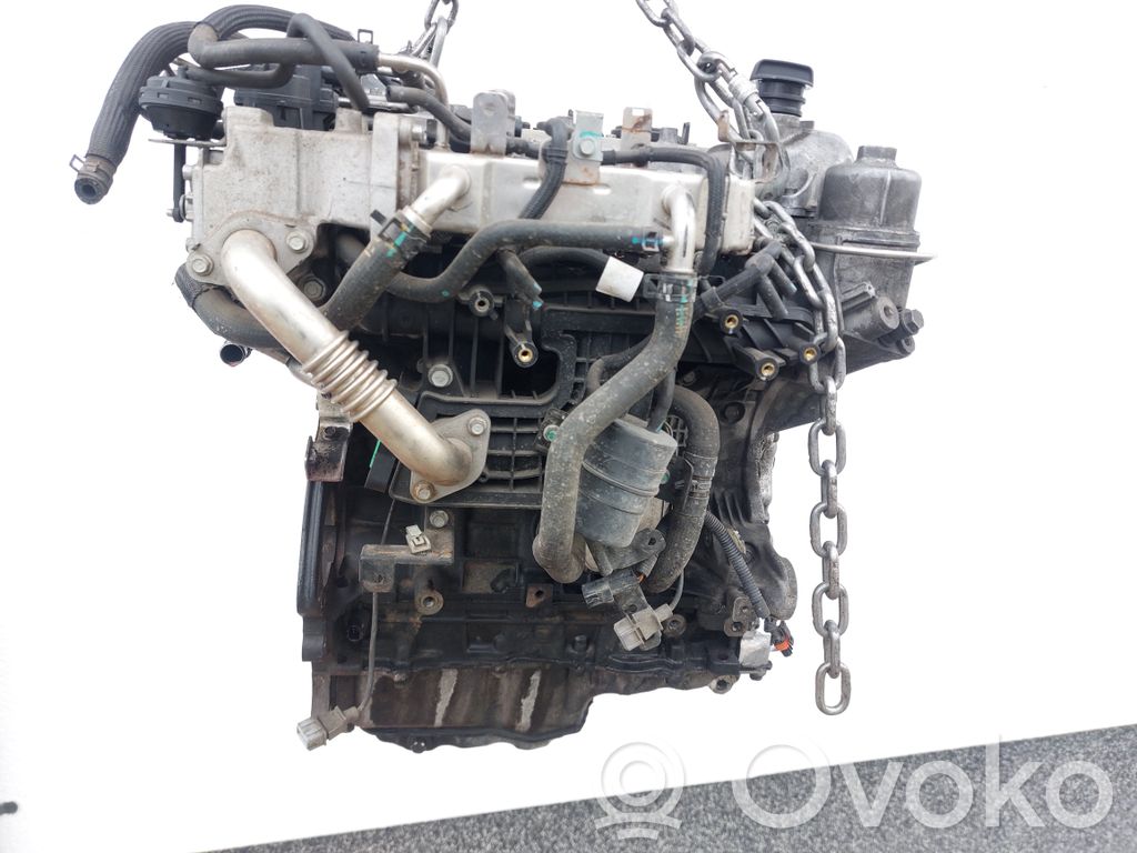 Engine   Z22D1