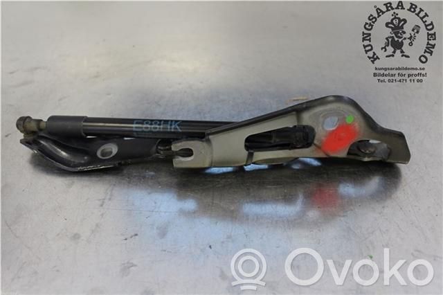 BMW 1 E82 E88 Tailgate/trunk/boot hinge 