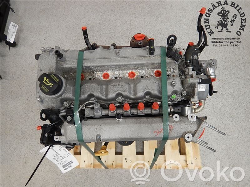 Engine   Z46412AZ00,D4FBH