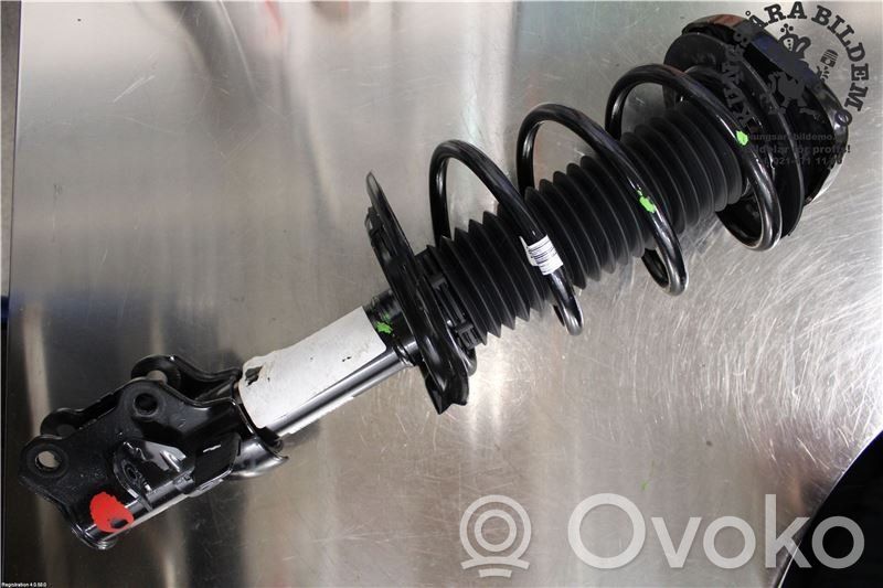 Ford Focus Front shock absorber with coil spring 