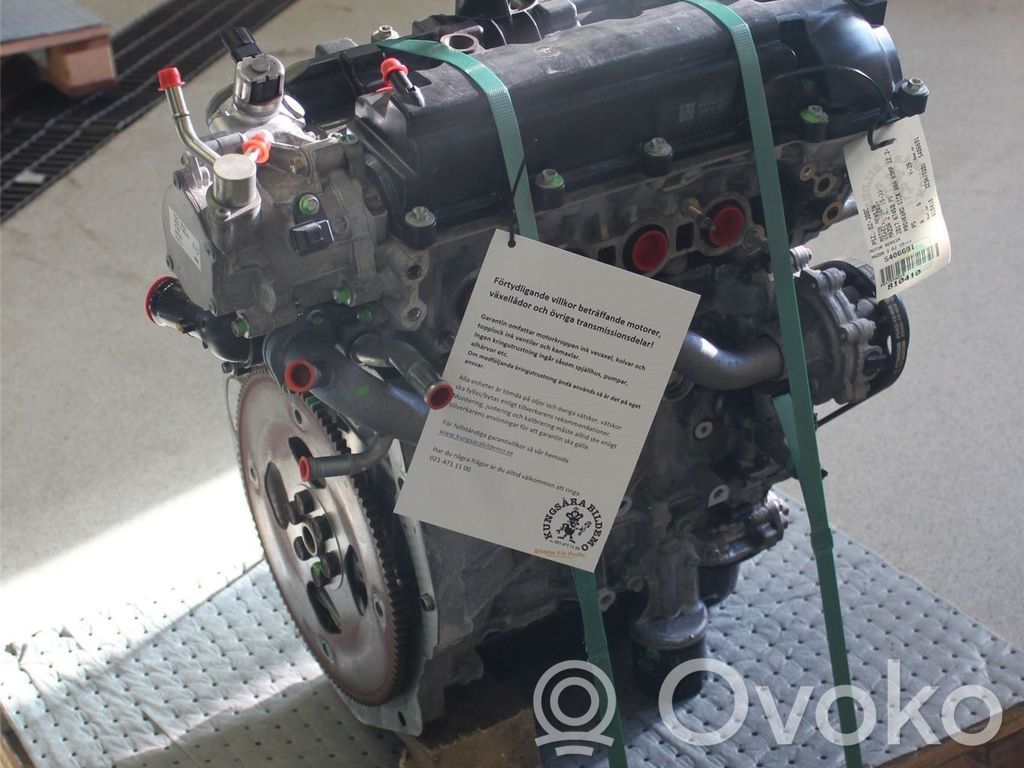 Variklis   P5Z302300C,P5