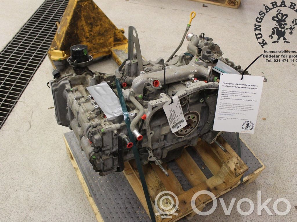Motor   10100BW800,FB25