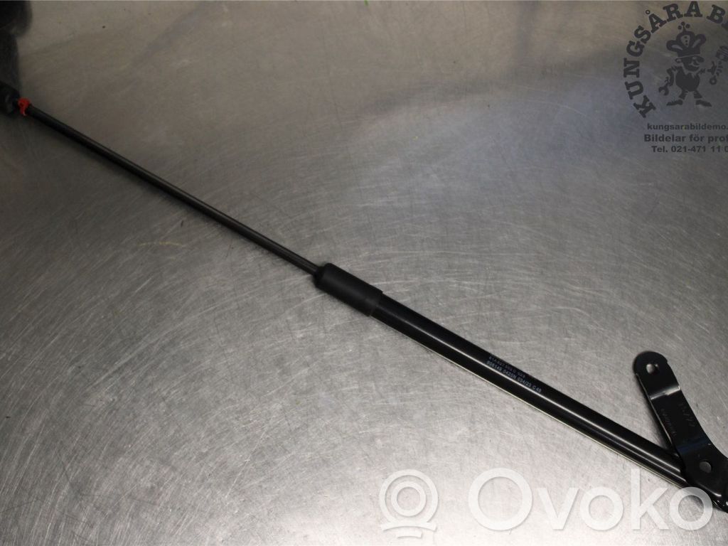 Tailgate strut   81A827552C,81A827552C,81A827552C
