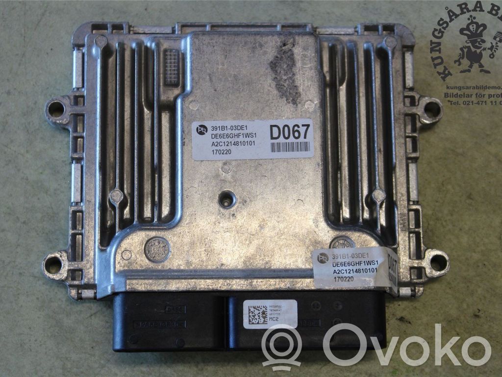 Injection control unit/module   391A503DE1,391A503DE1,391A503DE1