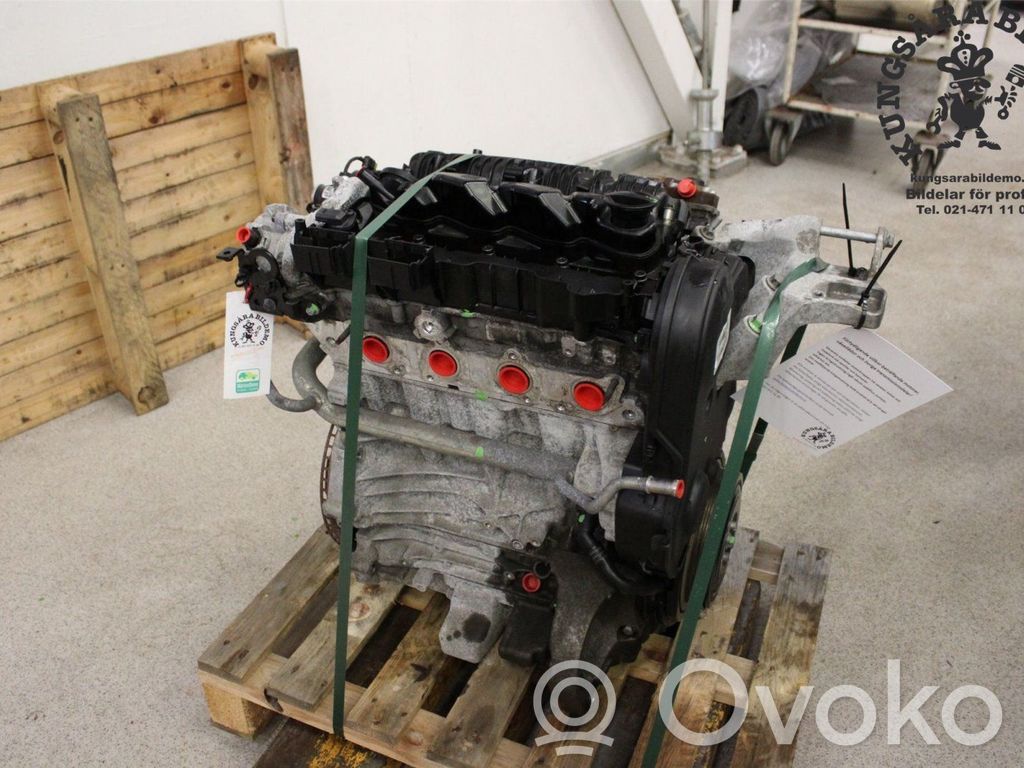 Variklis   36010066,D4204T20
