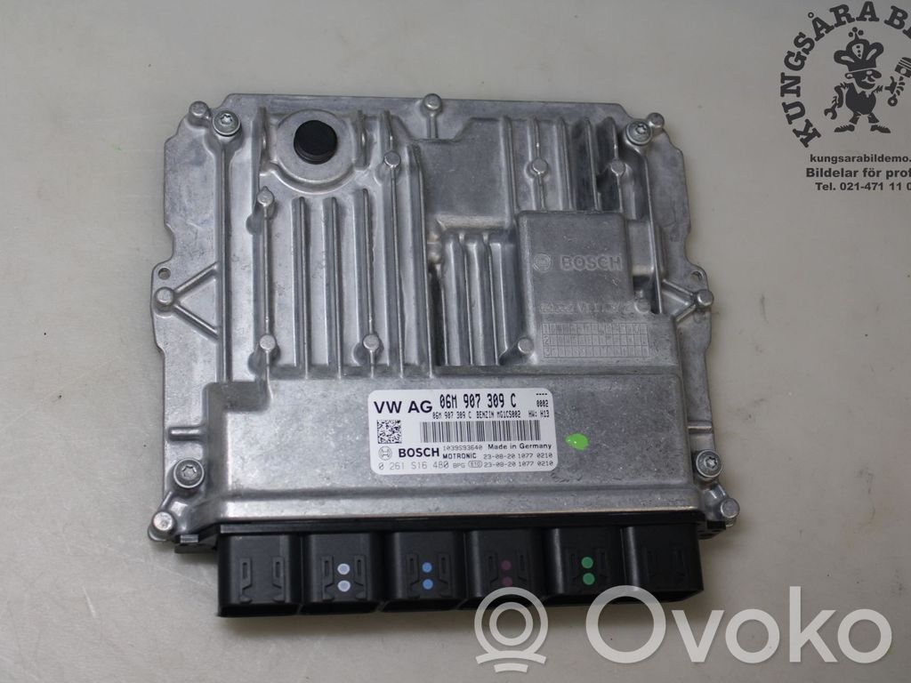 Porsche Panamera (970) Injection control unit/module 