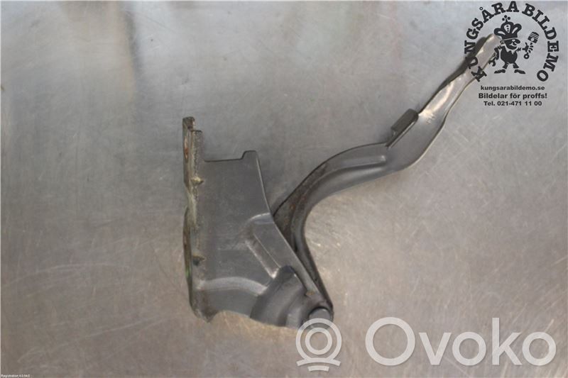 Hyundai Santa Fe Engine bonnet/hood hinges 