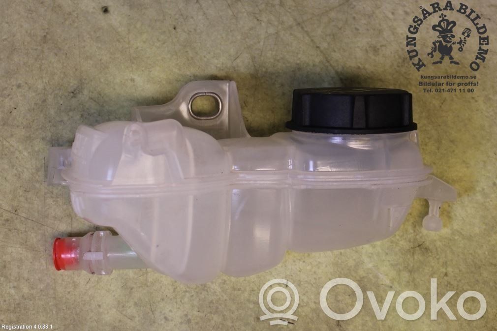 Ford Focus Vas expansiune/rezervor lichid de răcire 