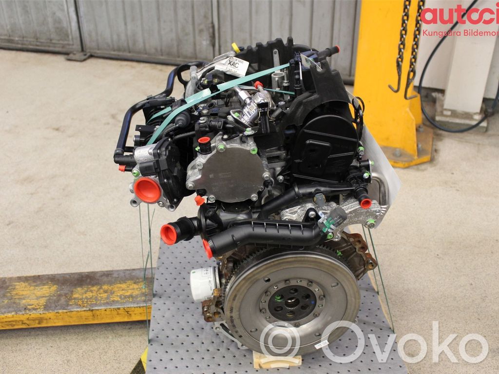Ford Puma Motor 
