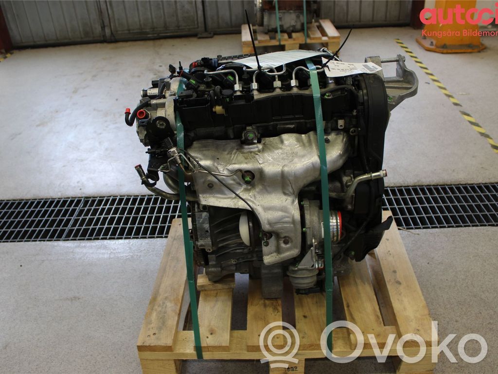 Engine   36010065,D4204T9