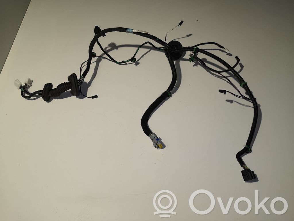 Rear door wiring loom   100442600M