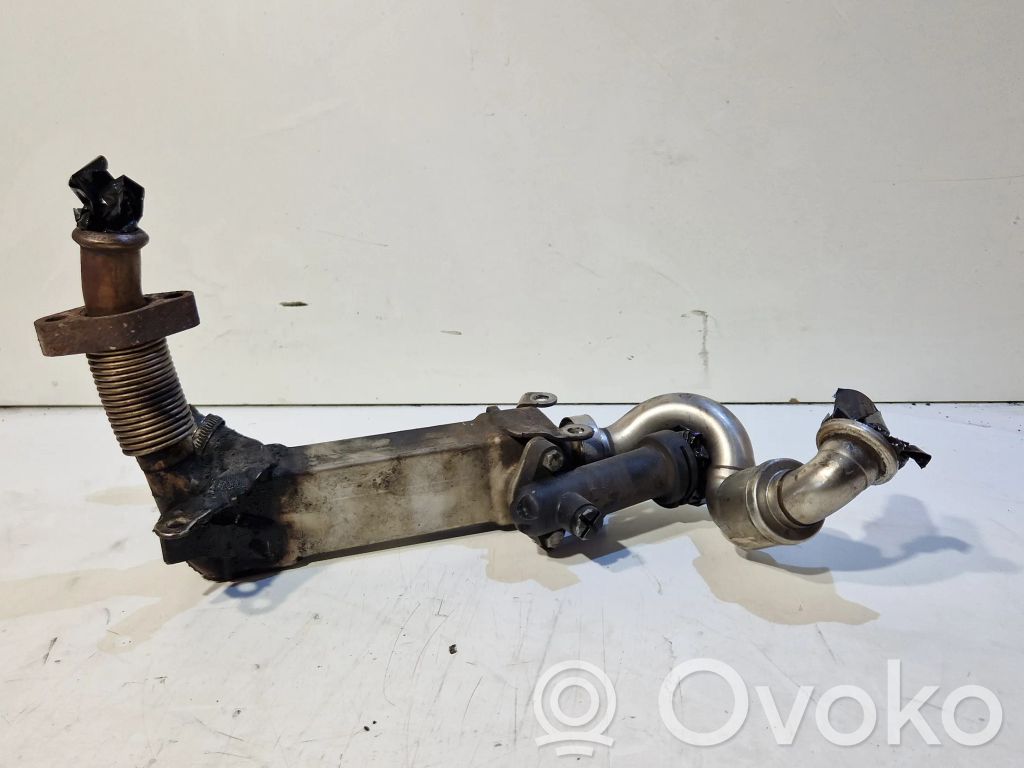 BMW 3 F30 F35 F31 EGR dzesētājs 