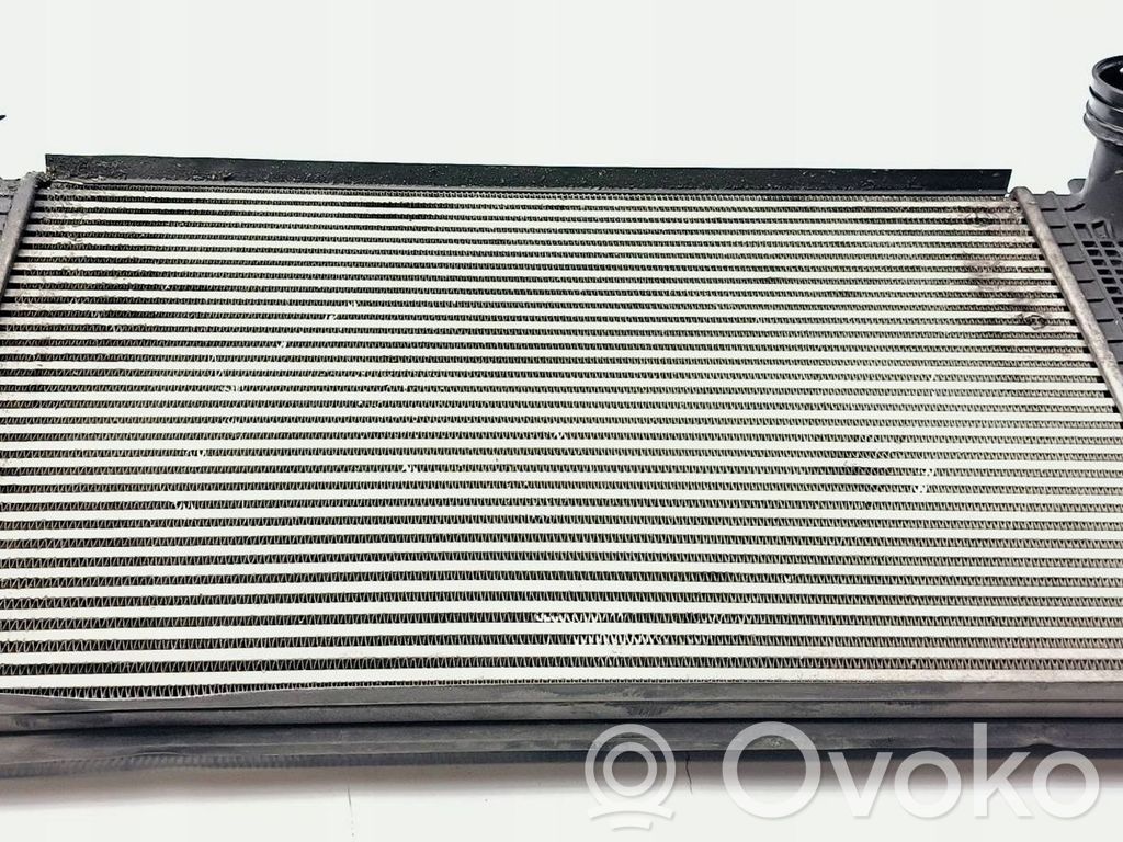 Skoda Octavia Mk2 (1Z) Ladeluftkühler 
