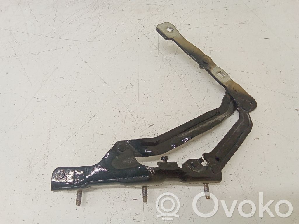 Tesla Model 3 Tailgate/trunk/boot hinge 
