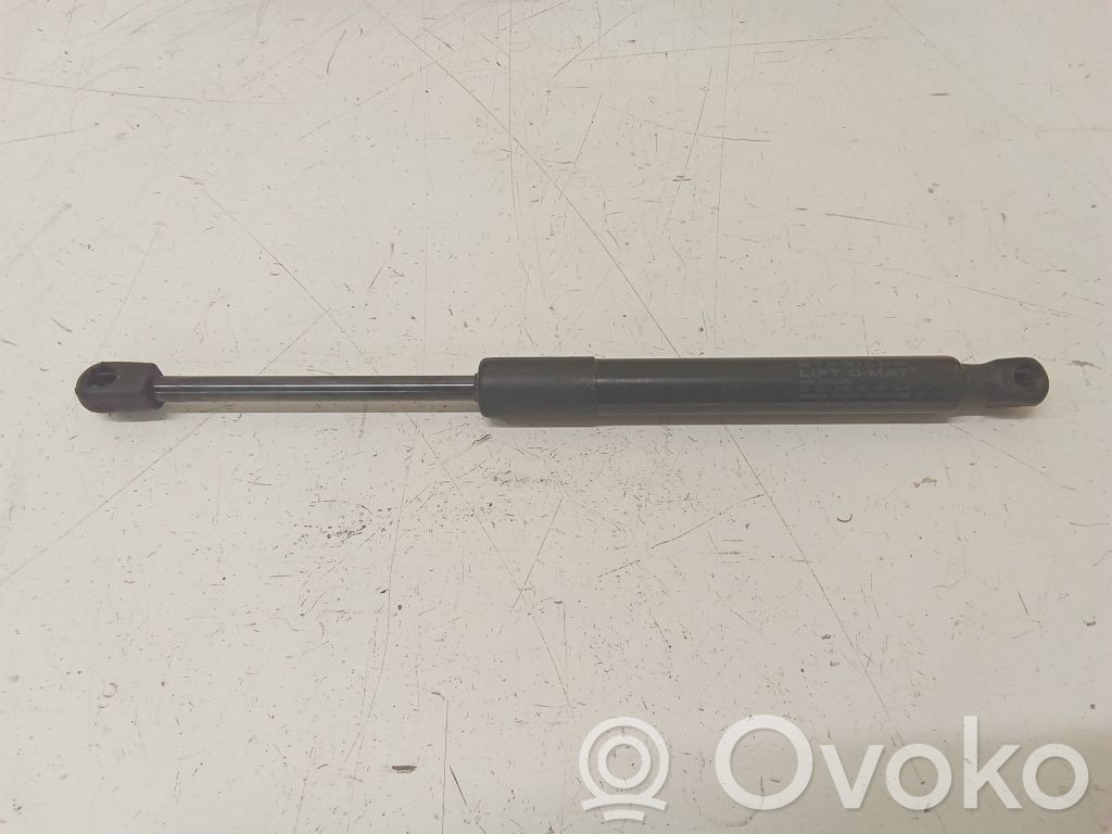 Tailgate strut   109156000B