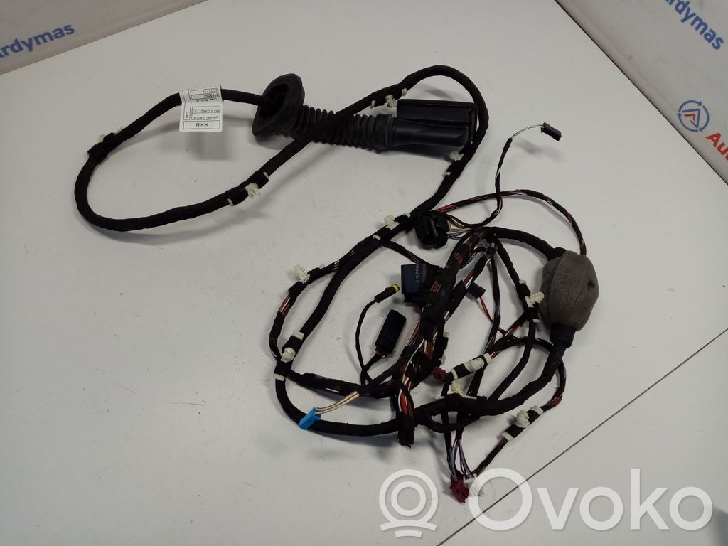 BMW X3 G01 Cableado de puerta trasera 