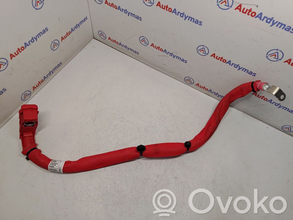 BMW X3 G01 Pluskabel Batterie 