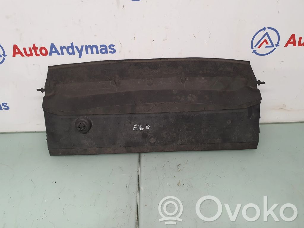 BMW 5 E60 E61 Radiatoru paneļa apakšējā daļa (televizora) 
