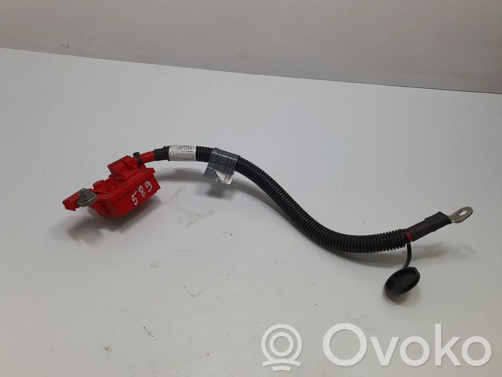 BMW X5M E70 Pliusinis laidas (akumuliatoriaus) 