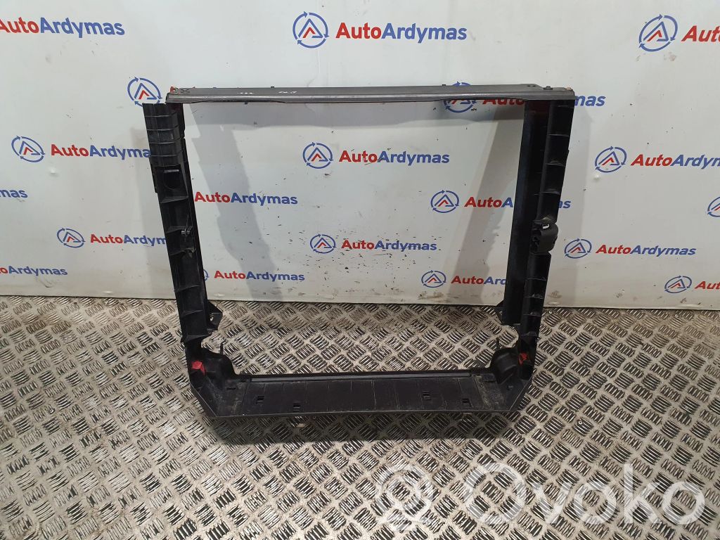 BMW X5 E70 Radiatoru dekoratīvā apdare 