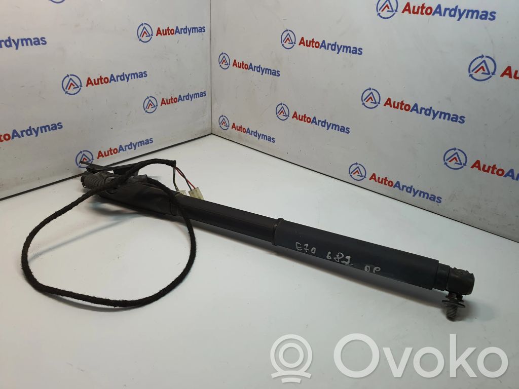 Tailgate/trunk strut/damper   7286116,51247286116