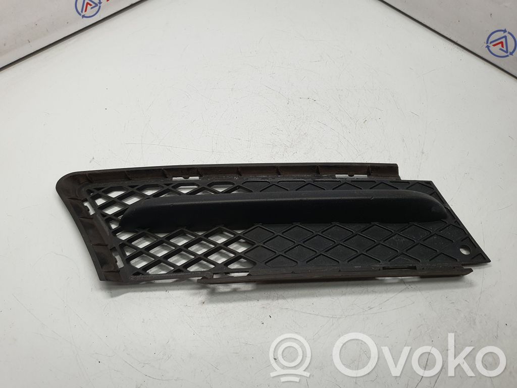 Front bumper lower grill   7154552,51117154552