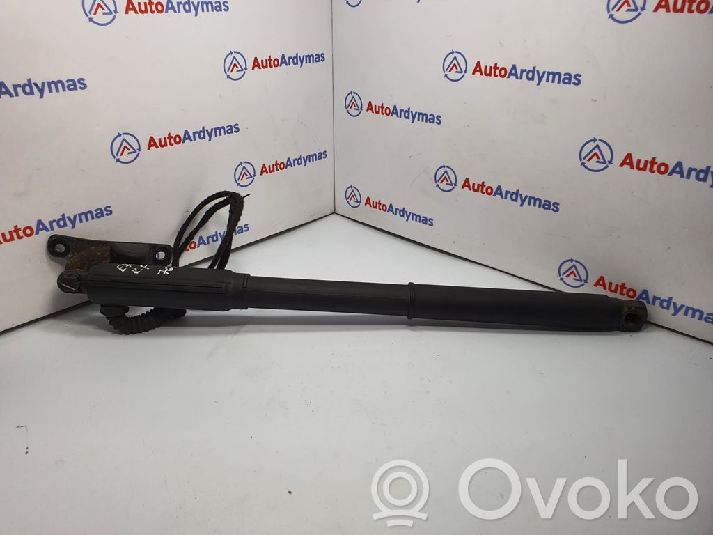 BMW X5 E70 Tailgate/trunk strut/damper 
