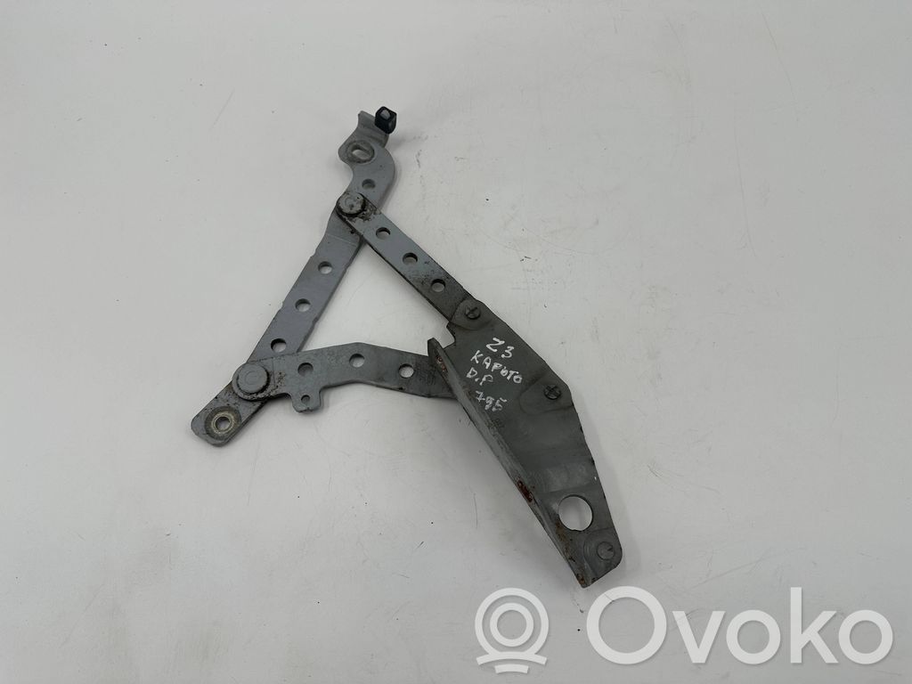 BMW Z3 E36 Engine bonnet/hood hinges 