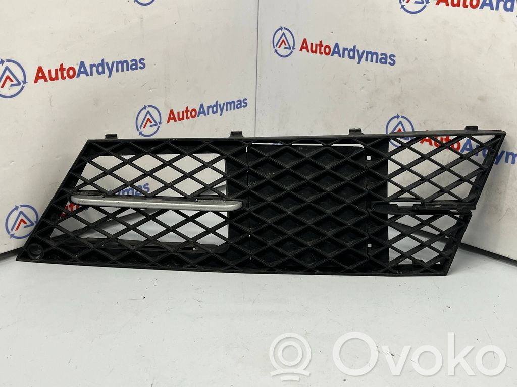 Front bumper lower grill   7178101,51117178101