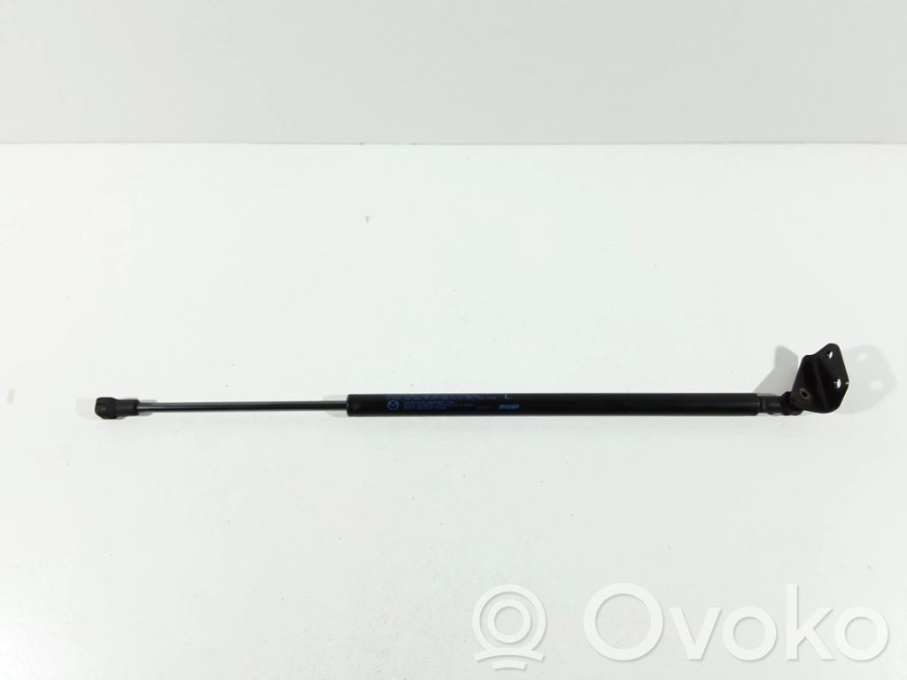 Tailgate/trunk strut/damper   D10E