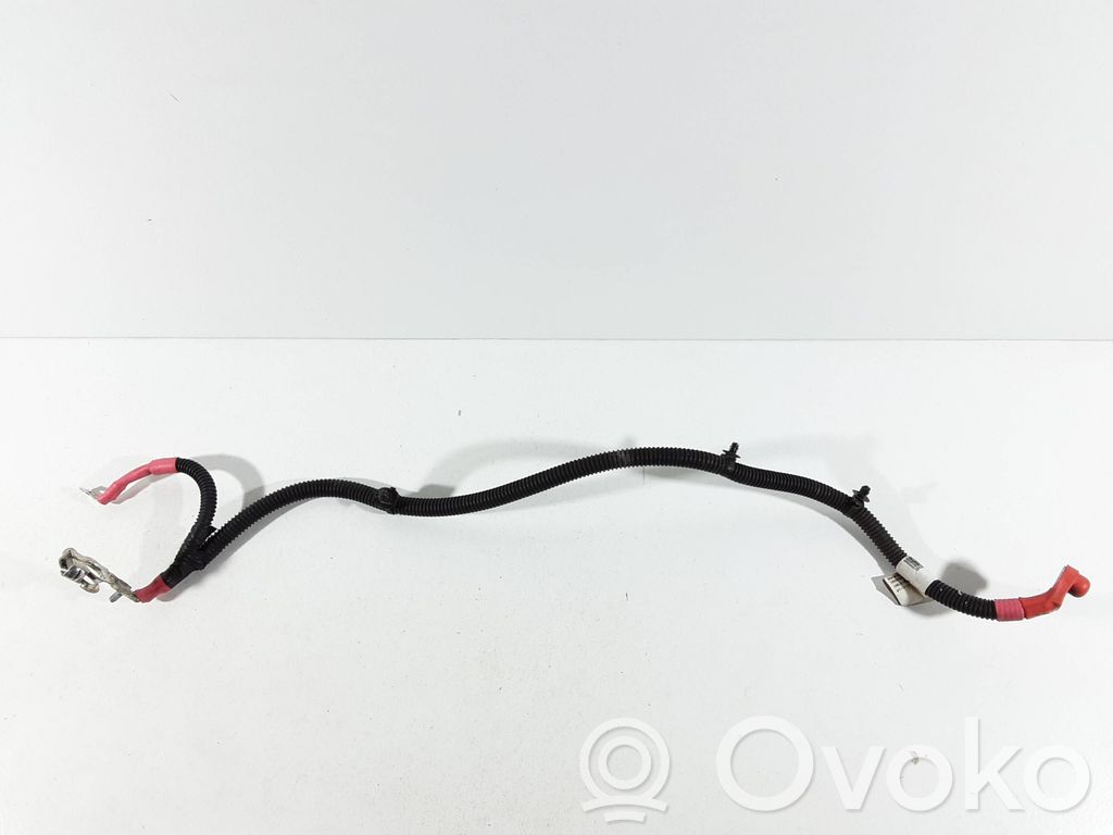 Pluskabel Batterie   10429760