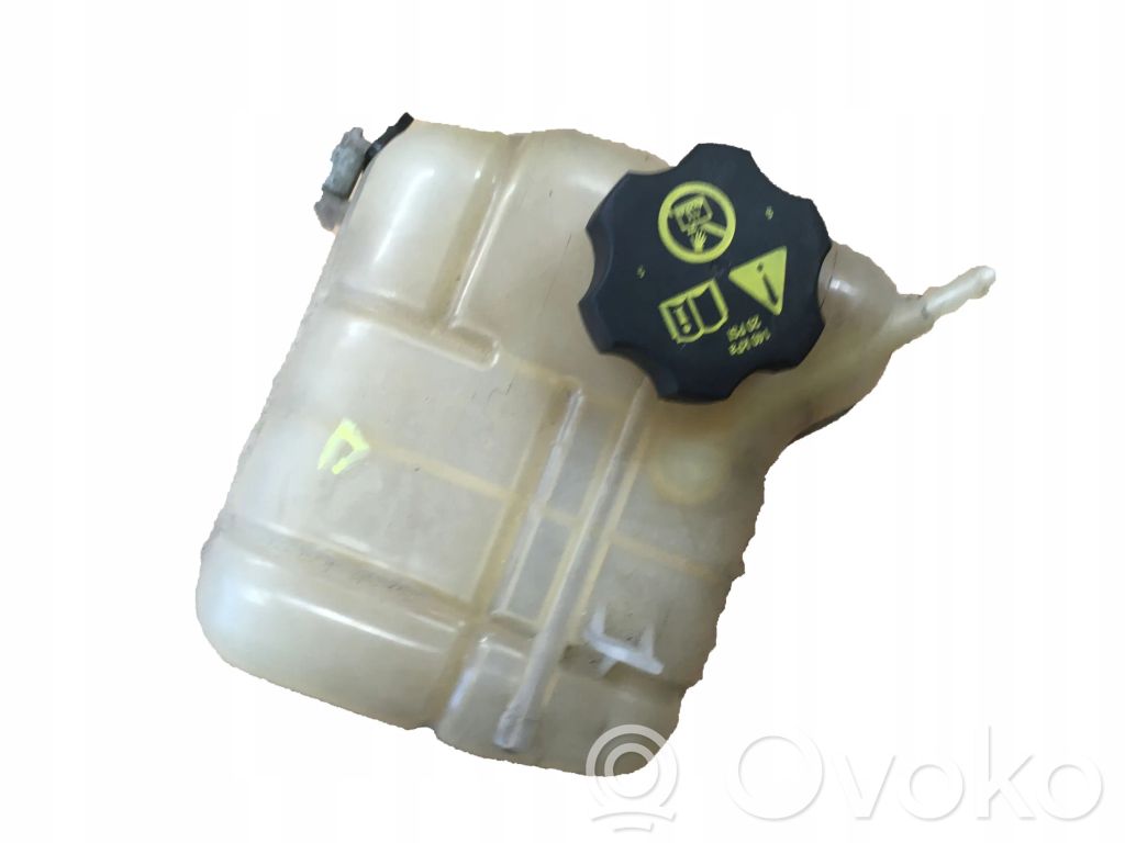 Cadillac SRX Serbatoio di compensazione del liquido refrigerante/vaschetta 