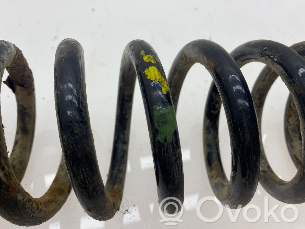 Rear coil spring
