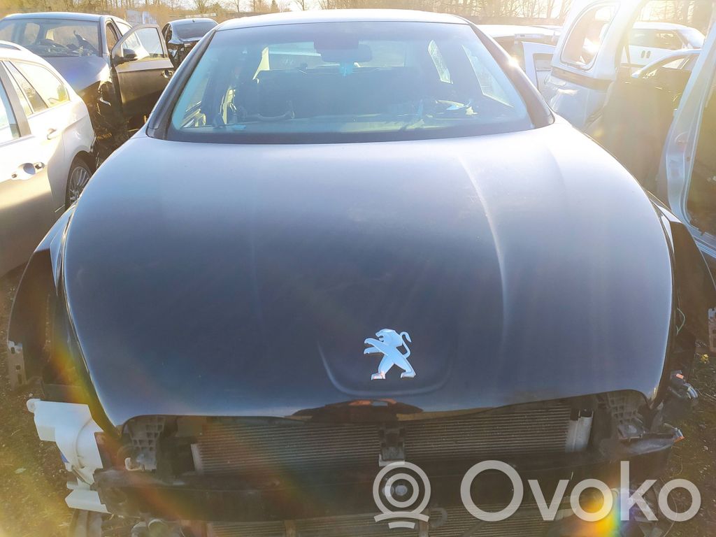 Peugeot 508 Capó/tapa del motor 