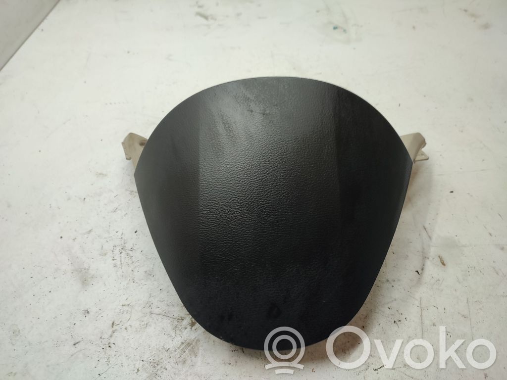 BMW X1 E84 Dashboard trim 