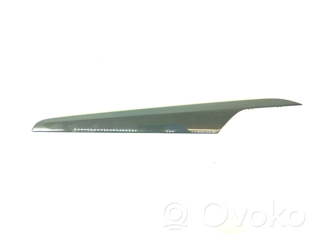 BMW X1 E84 Other front door trim element 