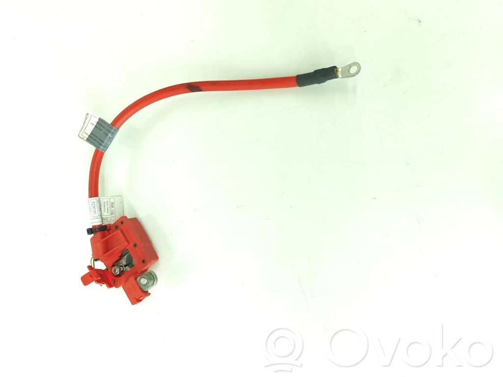 Positive cable (battery)   9217030,9217031