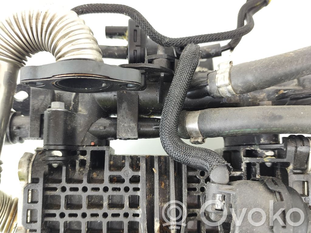 Citroen Berlingo Refroidisseur de vanne EGR 
