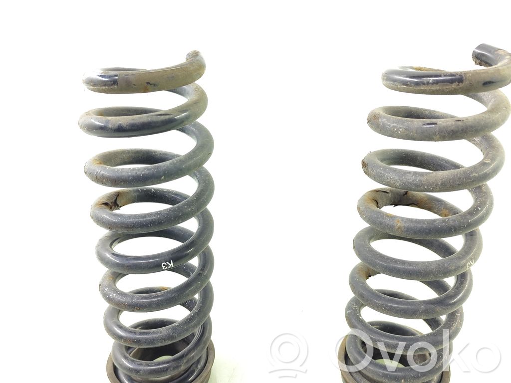 Rear coil spring   6764419,115445