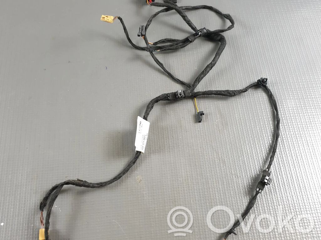 Audi A6 C7 Cableado de puerta trasera 
