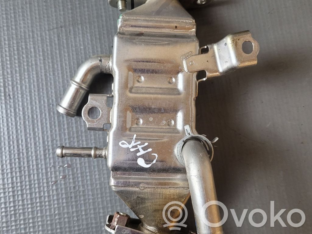 Chłodnica spalin EGR   256010T010,256010T010A