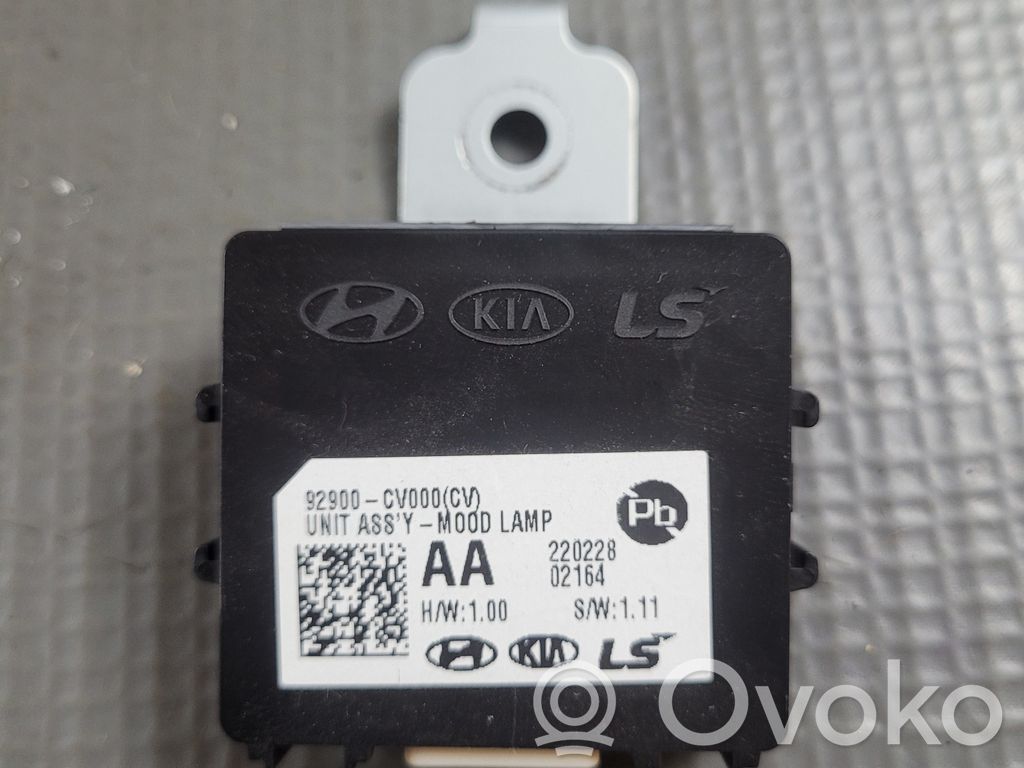 Light module LCM   92900CV000