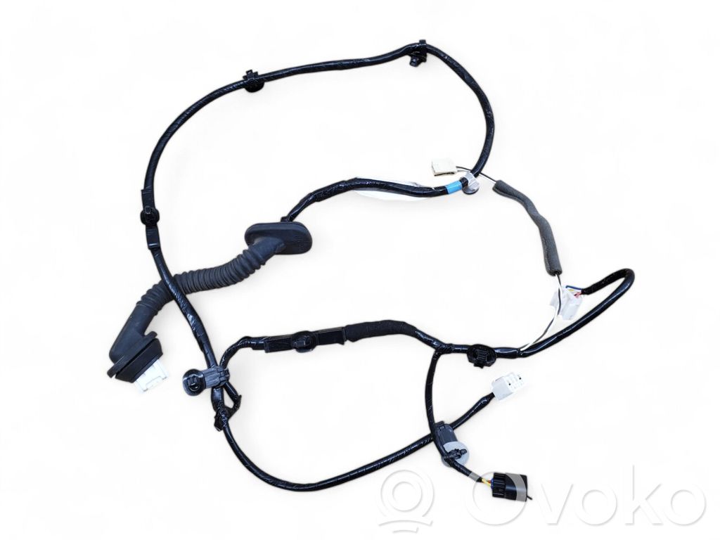 Subaru Outback (BT) Cableado de puerta trasera 