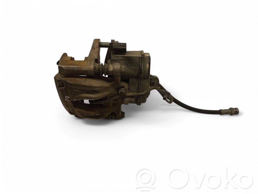 Takajarrusatula   8W0406BD