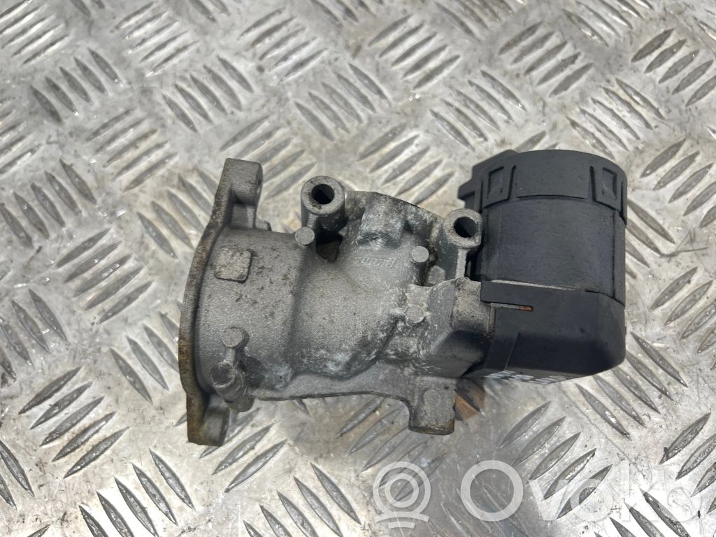 Válvula EGR   36000980
