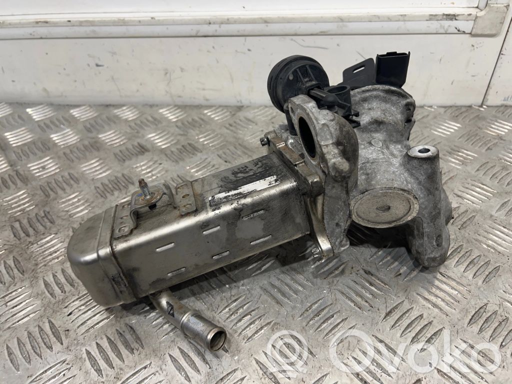 Válvula EGR   30725888