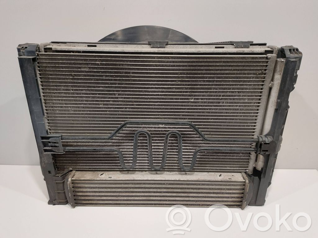 Radiator set   7561713,9546872,7524912,3296399,7801647