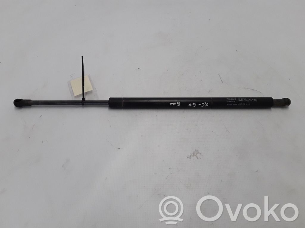 Tailgate strut   31297156